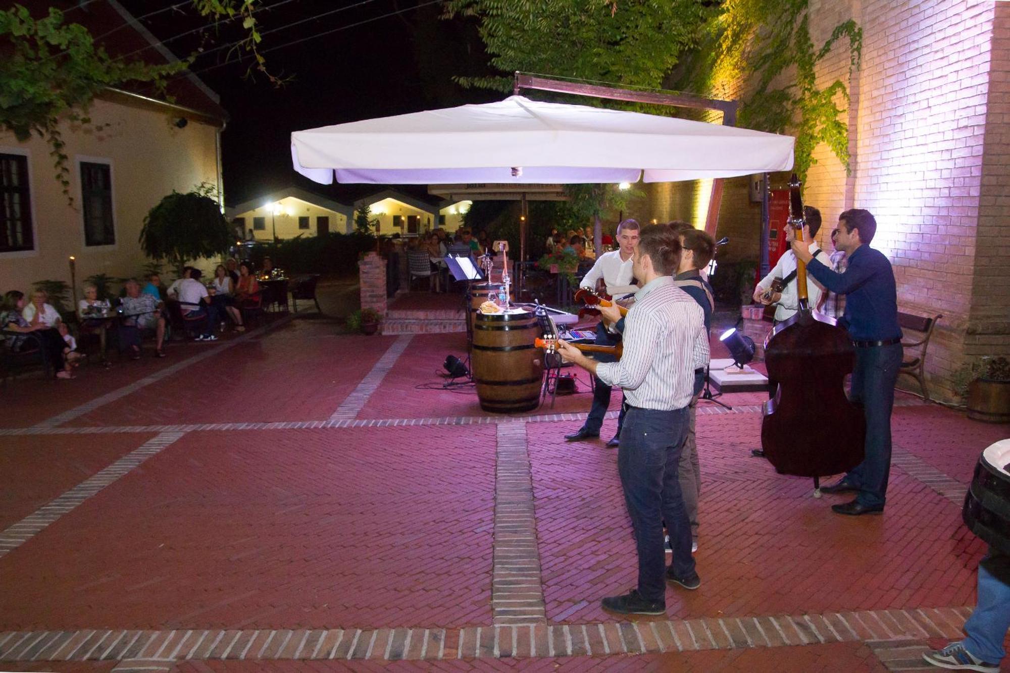 Stari Podrum 3* Ilok